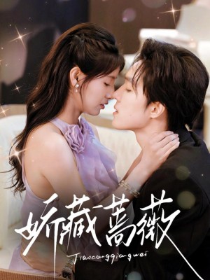 Hoa Hồng Ẩn Giấu - 娇藏蔷薇